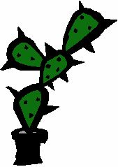[Desert Plants]