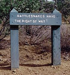 [Rattlesnakes have the right of way!]