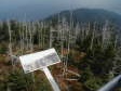 [Clingman's Dome]