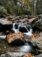 [Cascade on Chimney Tops Trail]