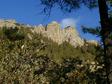 [Cathedral Rock from our campsite]