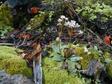 [Moss near Bridal Veil Falls]