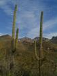 [Looking back toward Cathedral Rock]