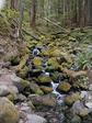 Sol-Duc Cascade