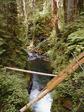 Sol-Duc Downstream