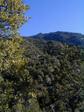 Santa Catalina Mtns