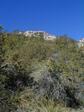 Santa Catalina Mtns