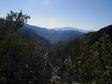 Santa Catalina Mtns