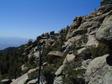 Santa Catalina Mtns