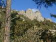 Santa Catalina Mtns