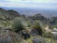 Santa Catalina Mtns