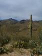 Santa Catalina Mtns