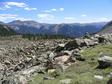 Trail of Rocks