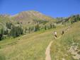 Group Dayhiking