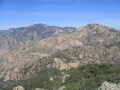 Mt. Lemmon