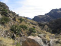 Sabino Canyon Trail