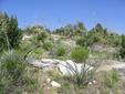 Living Desert State Park