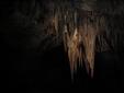 Carlsbad Caverns NP