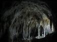 Carlsbad Caverns NP