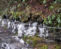 Icy Trail