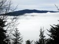 Mt. LeConte View