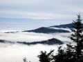 Mt. LeConte View