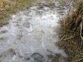 Icy Walkway