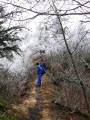 Under Icy Trees