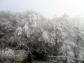 Newfound Gap Blizzard