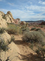 White Domes Trail