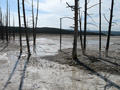 Lower Geyser Basin