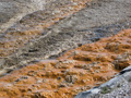 Geyser Runoff