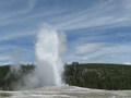 Old Faithful I