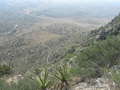 Guadalupe Peak Trail