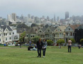 Painted Ladies