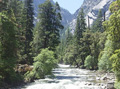 Tenaya Creek